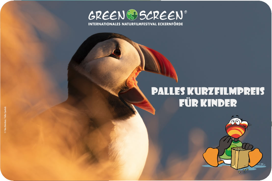 Film ab – und du entscheidest!