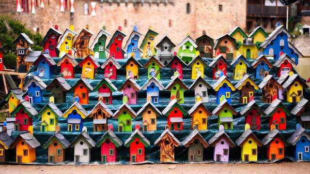 Hast du Lust, einen Nistkasten zu bauen?